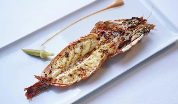 Avantgarde Refined Yalıkavak Gastronomi Markaları Bodrum'da bir arada 