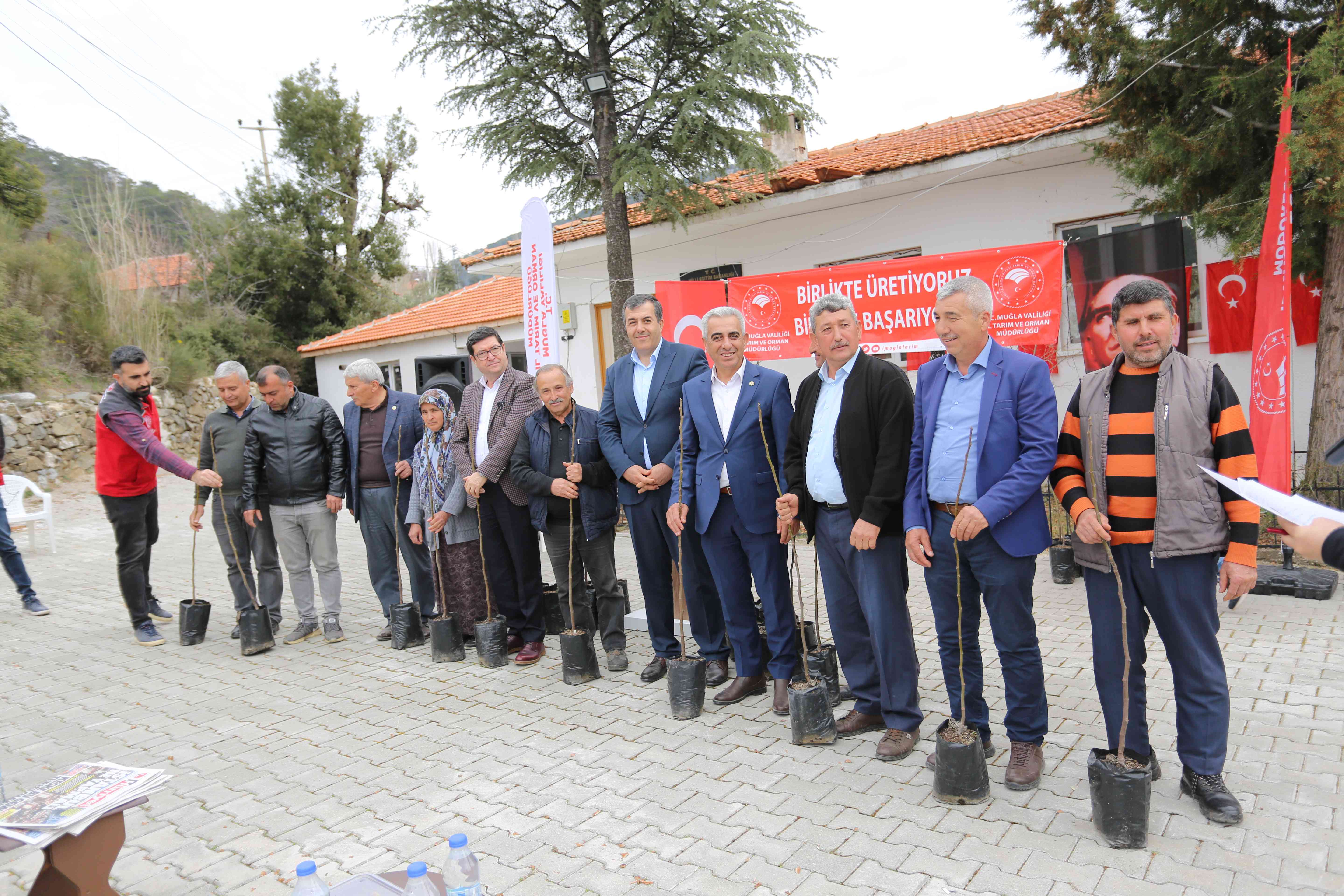 Dalaman'da Dalaman Kaya incir fidanı toprakla buluştu