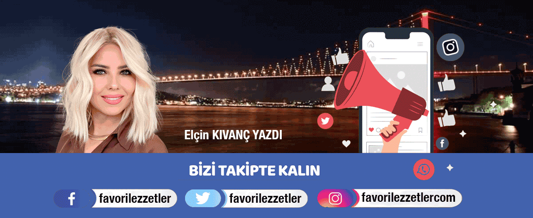 El&ccedil;in Kıvan&ccedil;